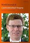 World Journal of Gastrointestinal Surgery雜志封面